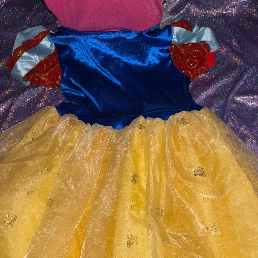 Disneyworld Resort Snow White Costume
